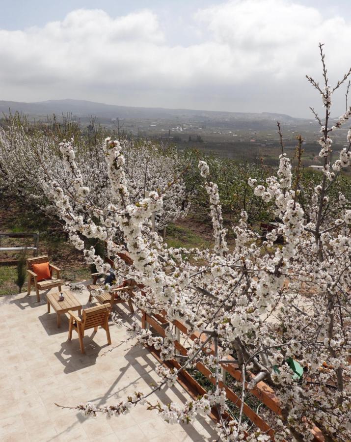 Oriental Nature Majdal Shams Extérieur photo