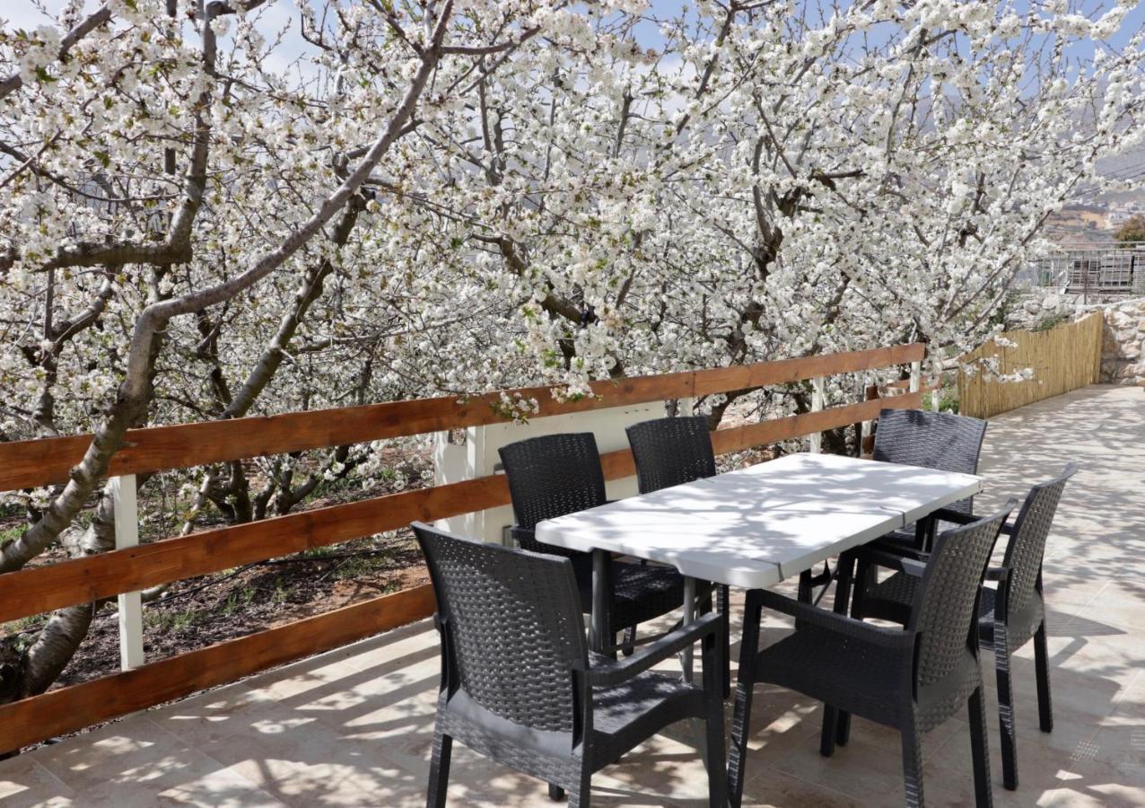 Oriental Nature Majdal Shams Extérieur photo