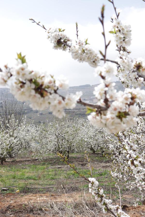 Oriental Nature Majdal Shams Extérieur photo