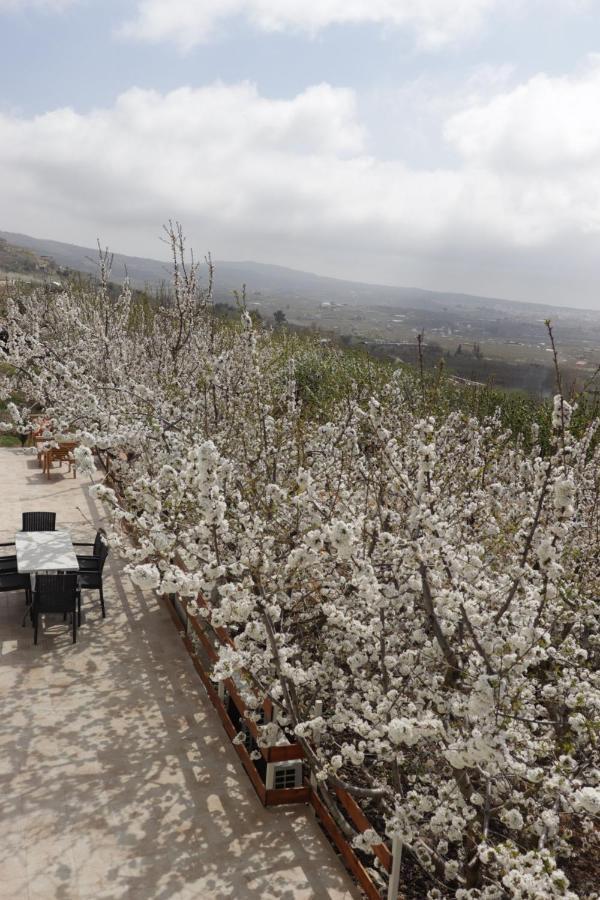 Oriental Nature Majdal Shams Extérieur photo